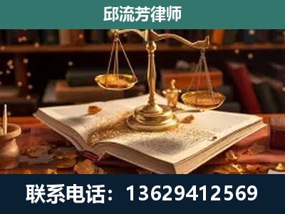 新民-新型网络犯罪